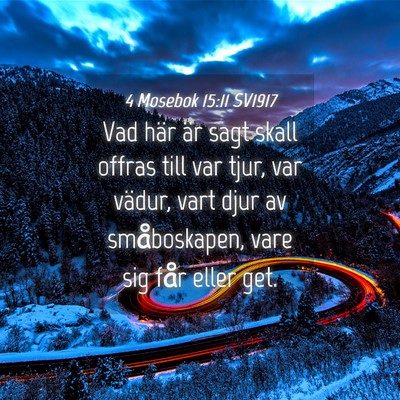 Picture 04 - 4 Mosebok 15:11 SV1917 - Vad här är sagt skall offras till var tjur, var - Bible Verse Picture
