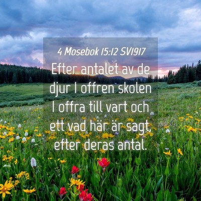 Picture 04 - 4 Mosebok 15:12 SV1917 - Efter antalet av de djur I offren skolen I offra - Bible Verse Picture