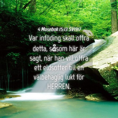 Picture 04 - 4 Mosebok 15:13 SV1917 - Var inföding skall offra detta, såsom här är - Bible Verse Picture