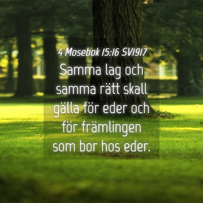 Picture 04 - 4 Mosebok 15:16 SV1917 - Samma lag och samma rätt skall gälla för eder - Bible Verse Picture