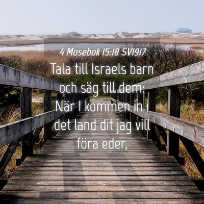 Picture 04 - 4 Mosebok 15:18 SV1917 - Tala till Israels barn och säg till dem: När I - Bible Verse Picture