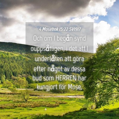 Picture 04 - 4 Mosebok 15:22 SV1917 - Och om I begån synd ouppsåtligen, i det att I - Bible Verse Picture