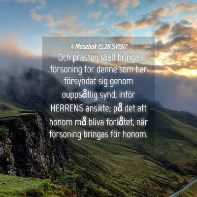 Picture 04 - 4 Mosebok 15:28 SV1917 - Och prästen skall bringa försoning för denne - Bible Verse Picture