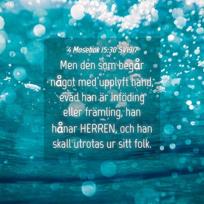 Picture 04 - 4 Mosebok 15:30 SV1917 - Men den som begår något med upplyft hand, evad - Bible Verse Picture