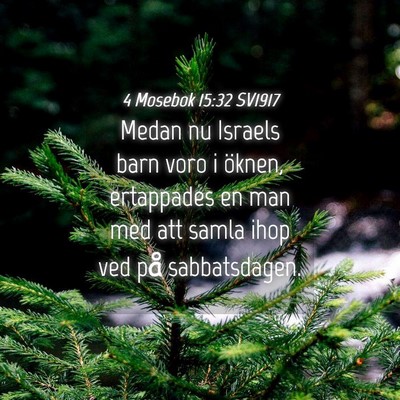 Picture 04 - 4 Mosebok 15:32 SV1917 - Medan nu Israels barn voro i öknen, ertappades - Bible Verse Picture