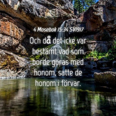 Picture 04 - 4 Mosebok 15:34 SV1917 - Och då det icke var bestämt vad som borde - Bible Verse Picture