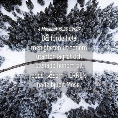 Picture 04 - 4 Mosebok 15:36 SV1917 - Då förde hela menigheten ut honom utanför - Bible Verse Picture