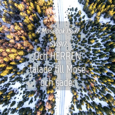 Picture 04 - 4 Mosebok 15:37 SV1917 - Och HERREN talade till Mose och - Bible Verse Picture