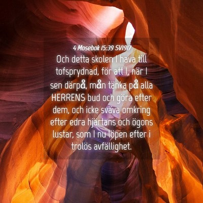 Picture 04 - 4 Mosebok 15:39 SV1917 - Och detta skolen I hava till tofsprydnad, för - Bible Verse Picture