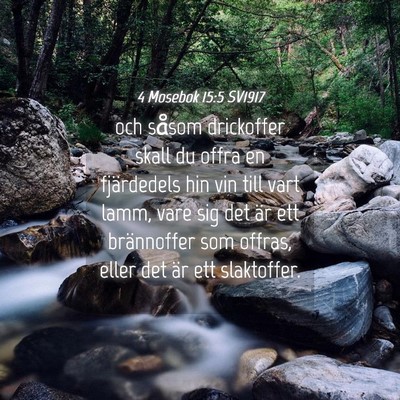Picture 04 - 4 Mosebok 15:5 SV1917 - och såsom drickoffer skall du offra en - Bible Verse Picture