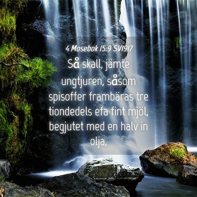 Picture 04 - 4 Mosebok 15:9 SV1917 - Så skall, jämte ungtjuren, såsom spisoffer - Bible Verse Picture