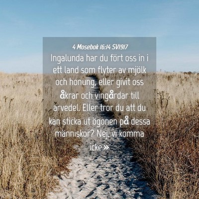 Picture 04 - 4 Mosebok 16:14 SV1917 - Ingalunda har du fört oss in i ett land som - Bible Verse Picture