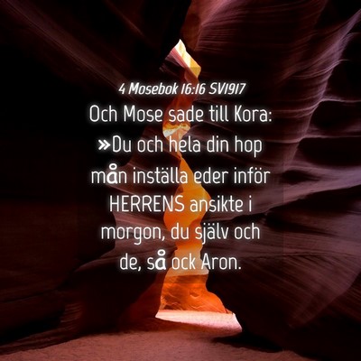 Picture 04 - 4 Mosebok 16:16 SV1917 - Och Mose sade till Kora: »Du och hela din hop - Bible Verse Picture