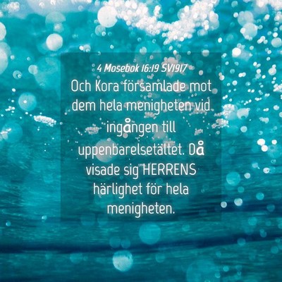 Picture 04 - 4 Mosebok 16:19 SV1917 - Och Kora församlade mot dem hela menigheten vid - Bible Verse Picture