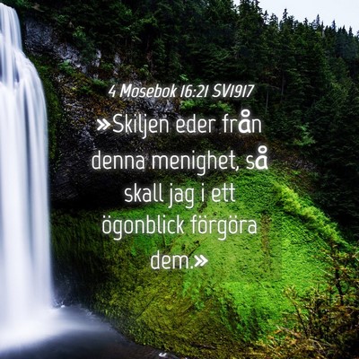 Picture 04 - 4 Mosebok 16:21 SV1917 - »Skiljen eder från denna menighet, så skall - Bible Verse Picture