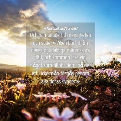 Picture 04 - 4 Mosebok 16:26 SV1917 - Och han talade till menigheten och sade: »Viken - Bible Verse Picture