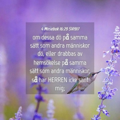 Picture 04 - 4 Mosebok 16:29 SV1917 - om dessa dö på samma sätt som andra människor - Bible Verse Picture