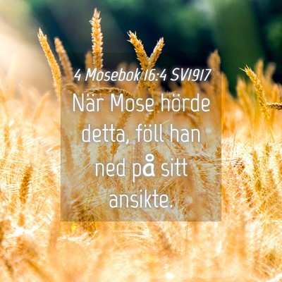 Picture 04 - 4 Mosebok 16:4 SV1917 - När Mose hörde detta, föll han ned på sitt - Bible Verse Picture