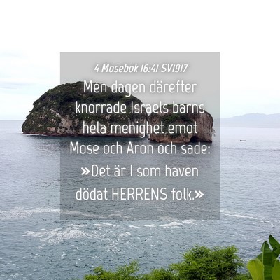 Picture 04 - 4 Mosebok 16:41 SV1917 - Men dagen därefter knorrade Israels barns hela - Bible Verse Picture