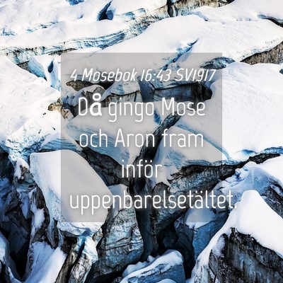 Picture 04 - 4 Mosebok 16:43 SV1917 - Då gingo Mose och Aron fram inför - Bible Verse Picture