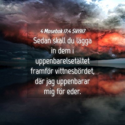 Picture 04 - 4 Mosebok 17:4 SV1917 - Sedan skall du lägga in dem i - Bible Verse Picture