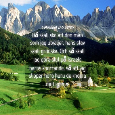 Picture 04 - 4 Mosebok 17:5 SV1917 - Då skall ske att den man som jag utväljer, hans - Bible Verse Picture