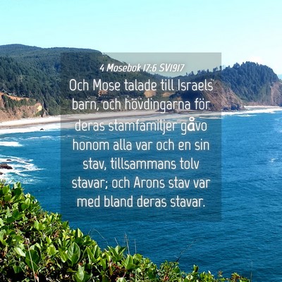Picture 04 - 4 Mosebok 17:6 SV1917 - Och Mose talade till Israels barn, och - Bible Verse Picture