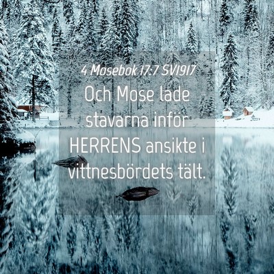 Picture 04 - 4 Mosebok 17:7 SV1917 - Och Mose lade stavarna inför HERRENS ansikte i - Bible Verse Picture