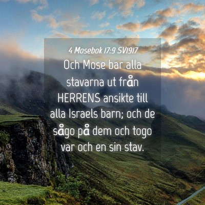Picture 04 - 4 Mosebok 17:9 SV1917 - Och Mose bar alla stavarna ut från HERRENS - Bible Verse Picture