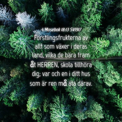 Picture 04 - 4 Mosebok 18:13 SV1917 - Förstlingsfrukterna av allt som växer i deras - Bible Verse Picture