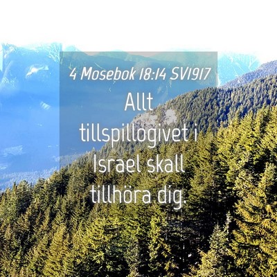 Picture 04 - 4 Mosebok 18:14 SV1917 - Allt tillspillogivet i Israel skall tillhöra - Bible Verse Picture