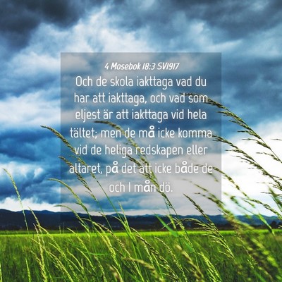 Picture 04 - 4 Mosebok 18:3 SV1917 - Och de skola iakttaga vad du har att iakttaga, - Bible Verse Picture