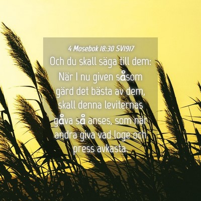 Picture 04 - 4 Mosebok 18:30 SV1917 - Och du skall säga till dem: När I nu given - Bible Verse Picture