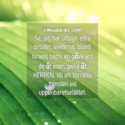 Picture 04 - 4 Mosebok 18:6 SV1917 - Se, jag har uttagit edra bröder, leviterna, - Bible Verse Picture