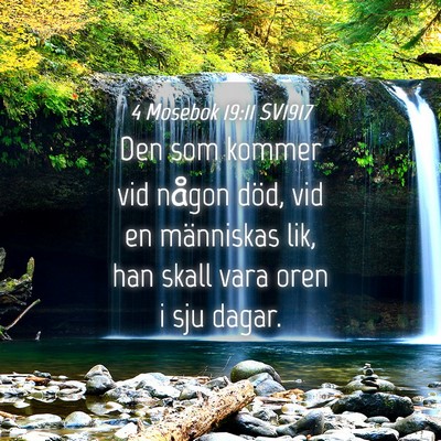 Picture 04 - 4 Mosebok 19:11 SV1917 - Den som kommer vid någon död, vid en människas - Bible Verse Picture