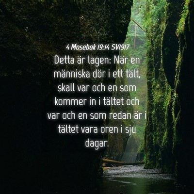 Picture 04 - 4 Mosebok 19:14 SV1917 - Detta är lagen: När en människa dör i ett - Bible Verse Picture