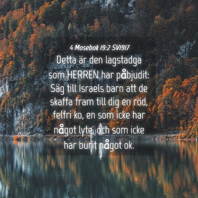 Picture 04 - 4 Mosebok 19:2 SV1917 - Detta är den lagstadga som HERREN har påbjudit: - Bible Verse Picture