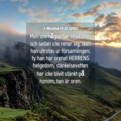 Picture 04 - 4 Mosebok 19:20 SV1917 - Men om någon har blivit oren och sedan icke - Bible Verse Picture