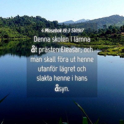 Picture 04 - 4 Mosebok 19:3 SV1917 - Denna skolen I lämna åt prästen Eleasar; och - Bible Verse Picture