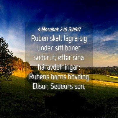 Picture 04 - 4 Mosebok 2:10 SV1917 - Ruben skall lägra sig under sitt baner söderut, - Bible Verse Picture