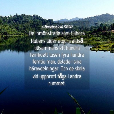 Picture 04 - 4 Mosebok 2:16 SV1917 - De inmönstrade som tillhöra Rubens läger - Bible Verse Picture