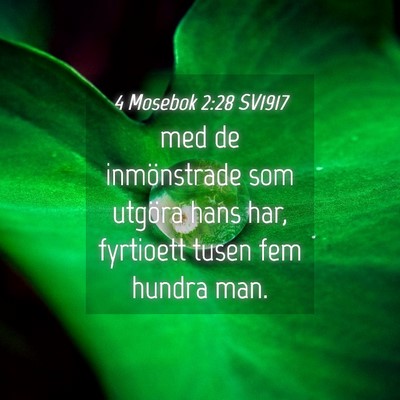 Picture 04 - 4 Mosebok 2:28 SV1917 - med de inmönstrade som utgöra hans har, - Bible Verse Picture