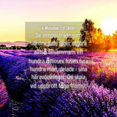 Picture 04 - 4 Mosebok 2:9 SV1917 - De inmönstrade som tillhöra Juda läger utgöra - Bible Verse Picture