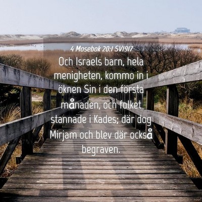 Picture 04 - 4 Mosebok 20:1 SV1917 - Och Israels barn, hela menigheten, kommo in i - Bible Verse Picture