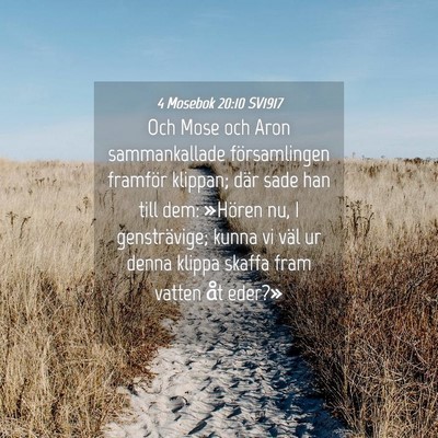 Picture 04 - 4 Mosebok 20:10 SV1917 - Och Mose och Aron sammankallade församlingen - Bible Verse Picture