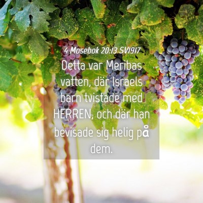 Picture 04 - 4 Mosebok 20:13 SV1917 - Detta var Meribas vatten, där Israels barn - Bible Verse Picture