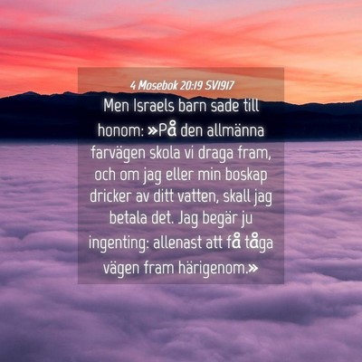 Picture 04 - 4 Mosebok 20:19 SV1917 - Men Israels barn sade till honom: »På den - Bible Verse Picture