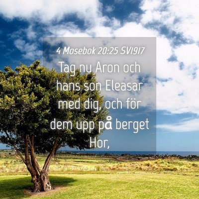 Picture 04 - 4 Mosebok 20:25 SV1917 - Tag nu Aron och hans son Eleasar med dig, och - Bible Verse Picture