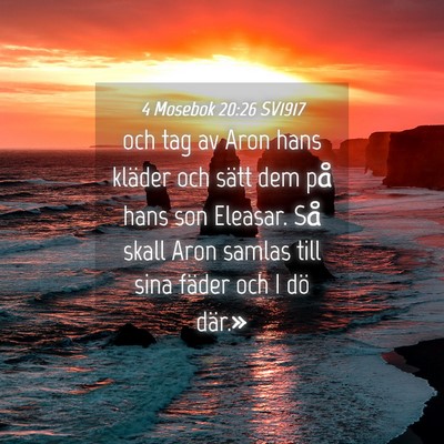 Picture 04 - 4 Mosebok 20:26 SV1917 - och tag av Aron hans kläder och sätt dem på - Bible Verse Picture