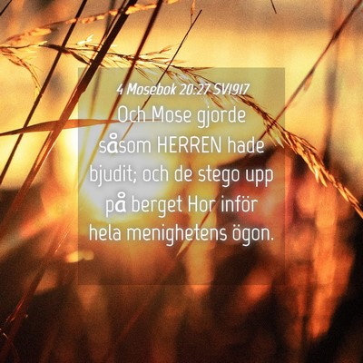 Picture 04 - 4 Mosebok 20:27 SV1917 - Och Mose gjorde såsom HERREN hade bjudit; och de - Bible Verse Picture